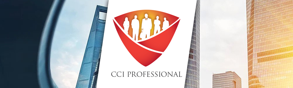 CCI Professional (Pty) Ltd main banner image